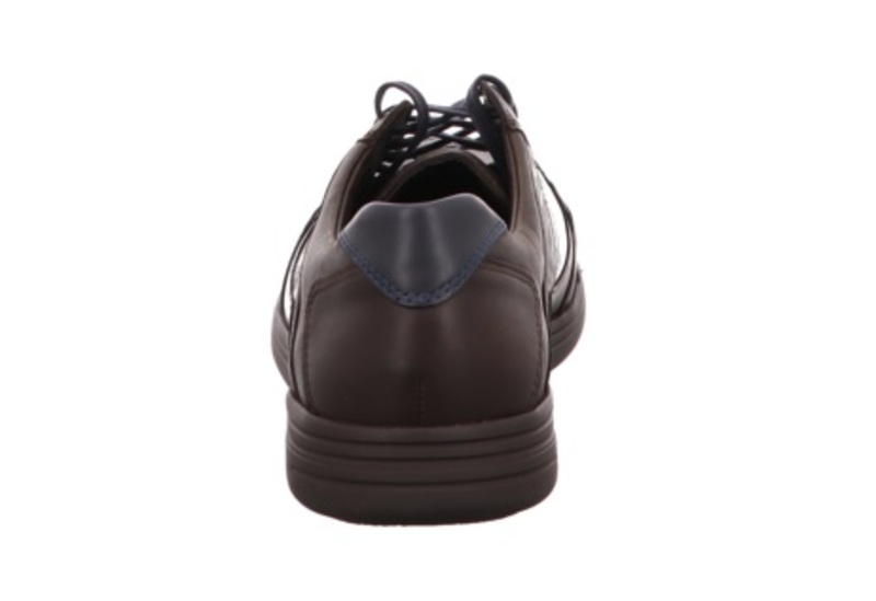 Mephisto Frank Bruin