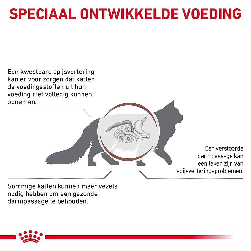 Royal Canin Fibre Respons Kat Kattenvoer voor ondersteuning van de spijsvertering bij volwassen katten