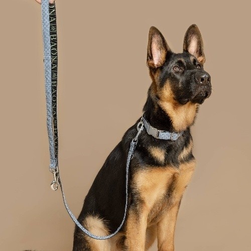 Guia para cães Baona Zanzibar em nylon reciclado azul com múltiplas posições