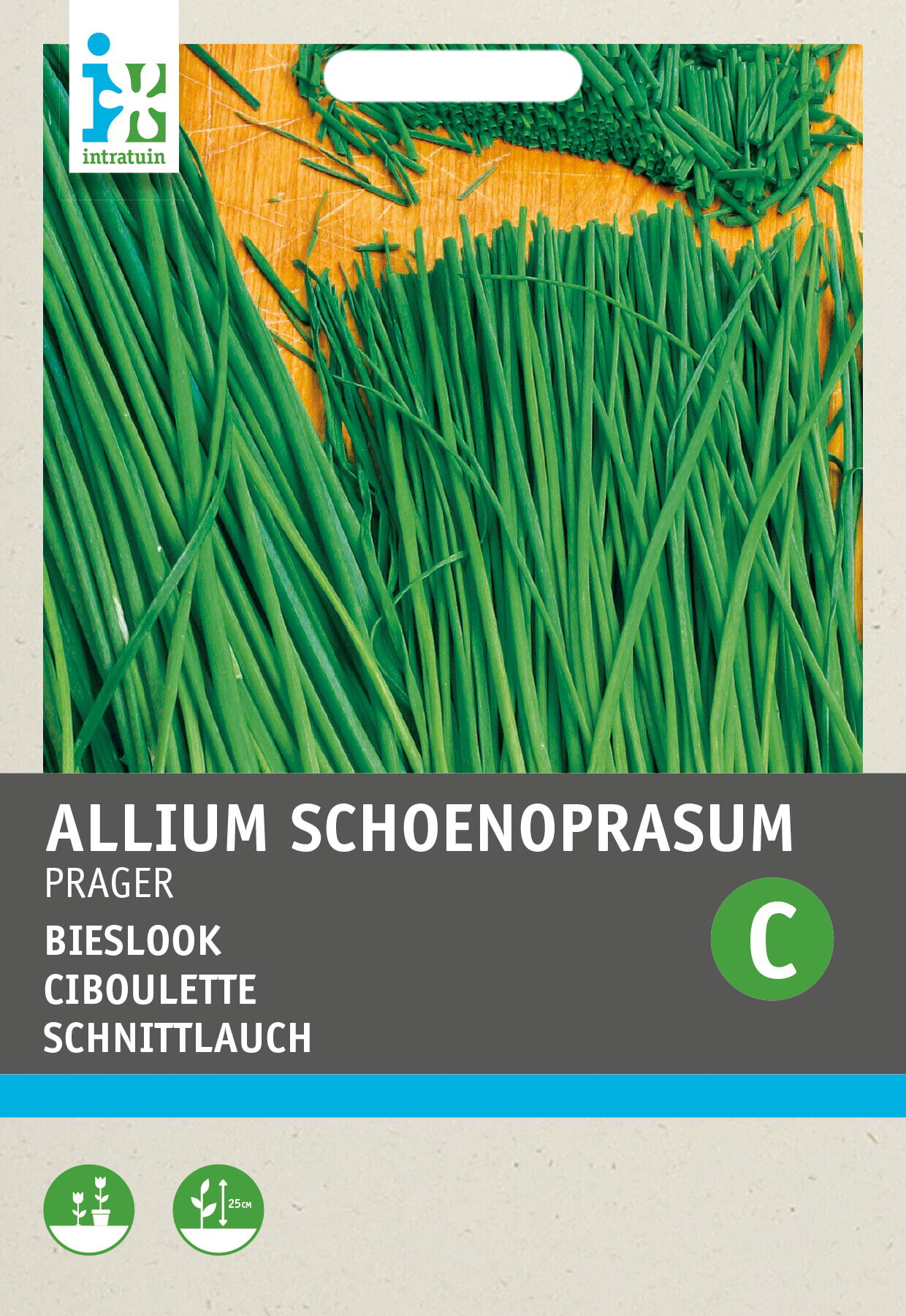 Intratuin kruidenzaad Bieslook fijne (Allium schoenoprasum)