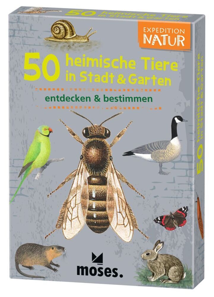 Bestimmungskarten 50 HEIMISCHE TIERE IN STADT & GARTEN in bunt