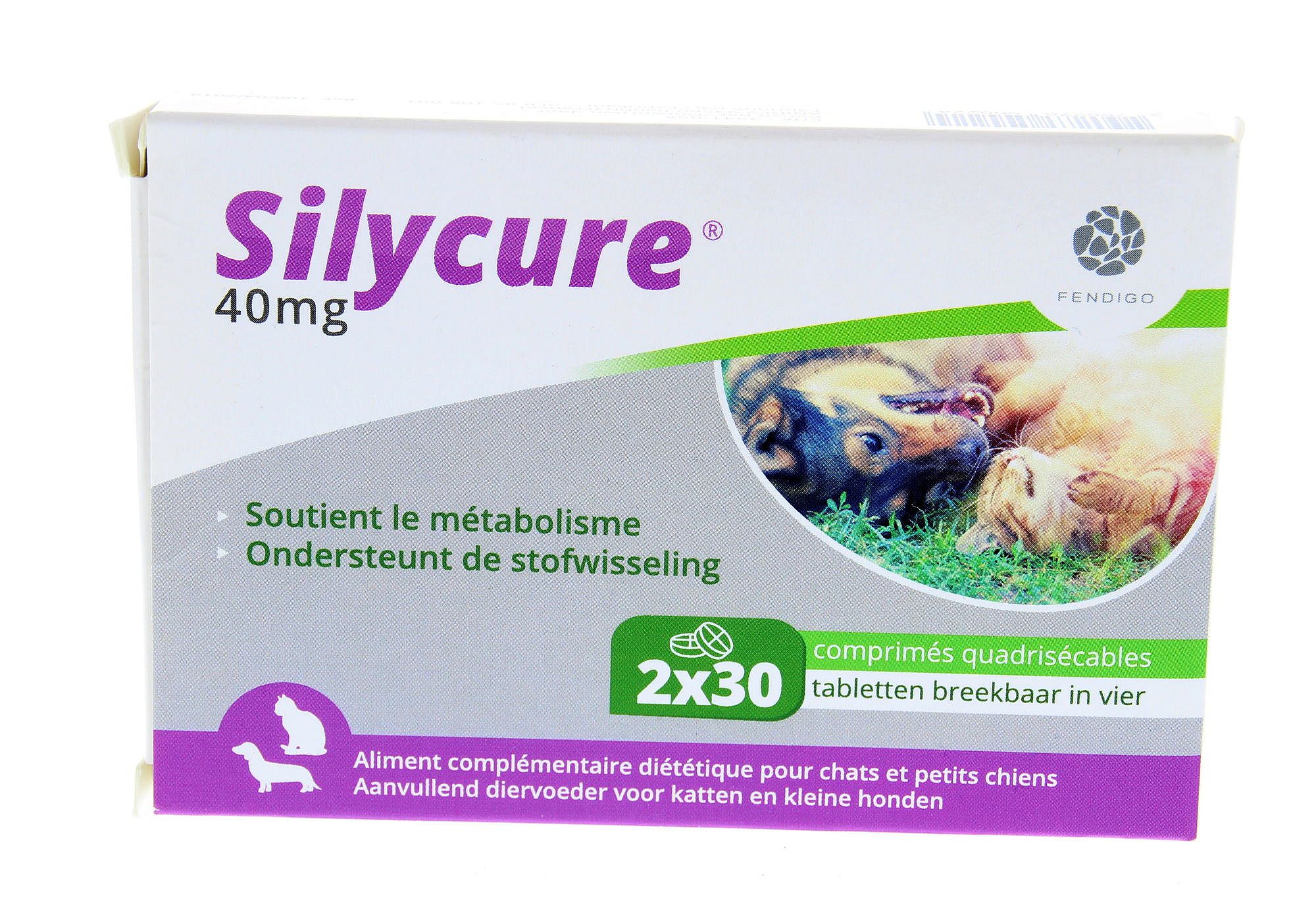 Silycure Fendigo 40 mg 2 x 30 tabletten