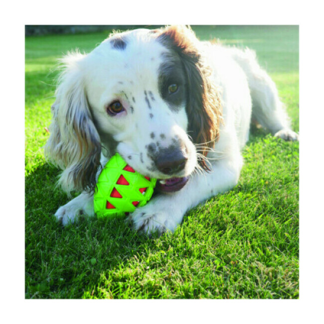 Balle Tough Crunch Rugby Ball Rosewood pour chien