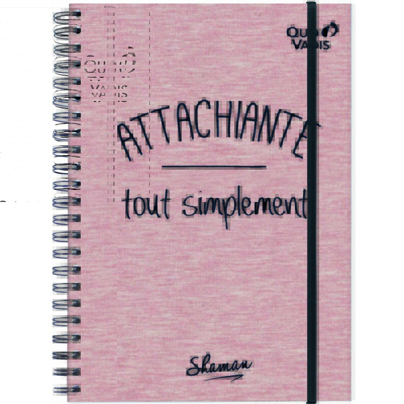 Quo Vadis - Carnet de notes - Spiralé - Shaman - Pages Non lignées - 15x21 cm - par 6