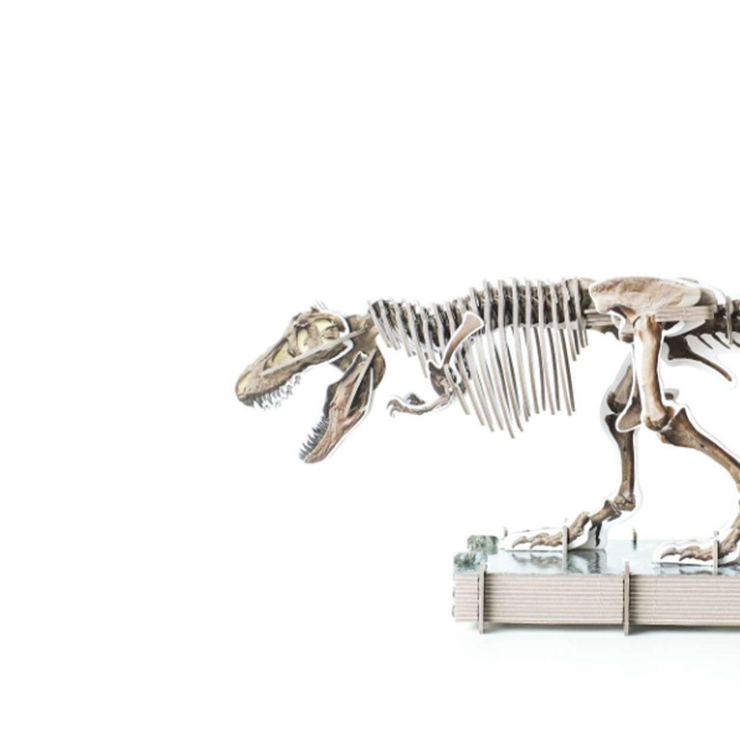Uitgeverij lannoo bouwpakket maak je eigen t-rex