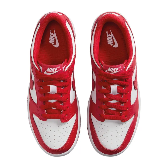 Nike Dunk Low Sneakers Junior