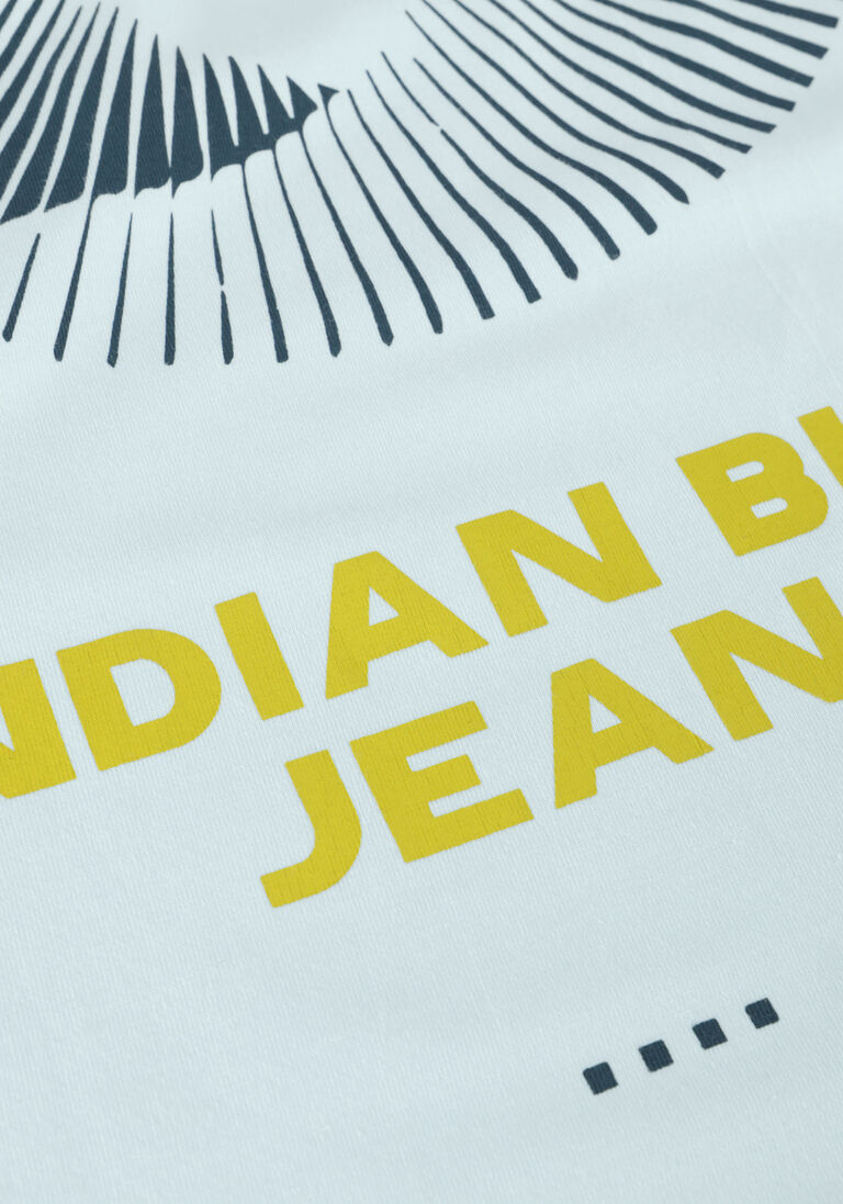 INDIAN BLUE JEANS lichtblauwe indian blue jeans t-shirt t-shirt indian backprint