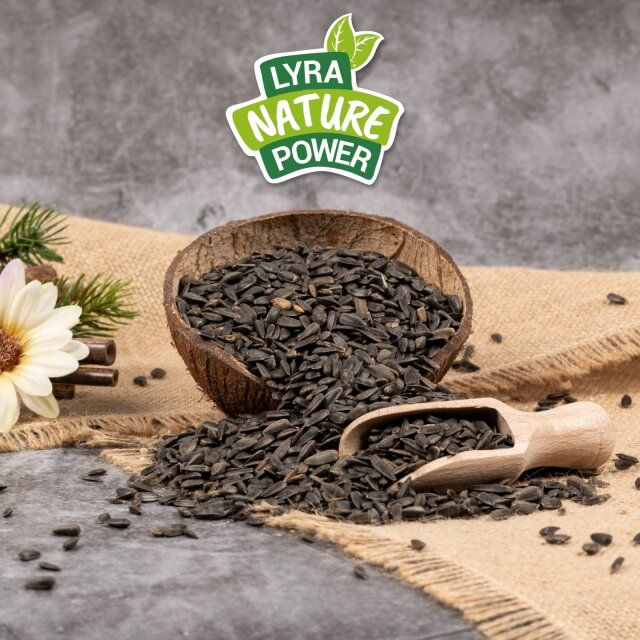 Lyra Pet® Sonnenblumenkerne schwarz