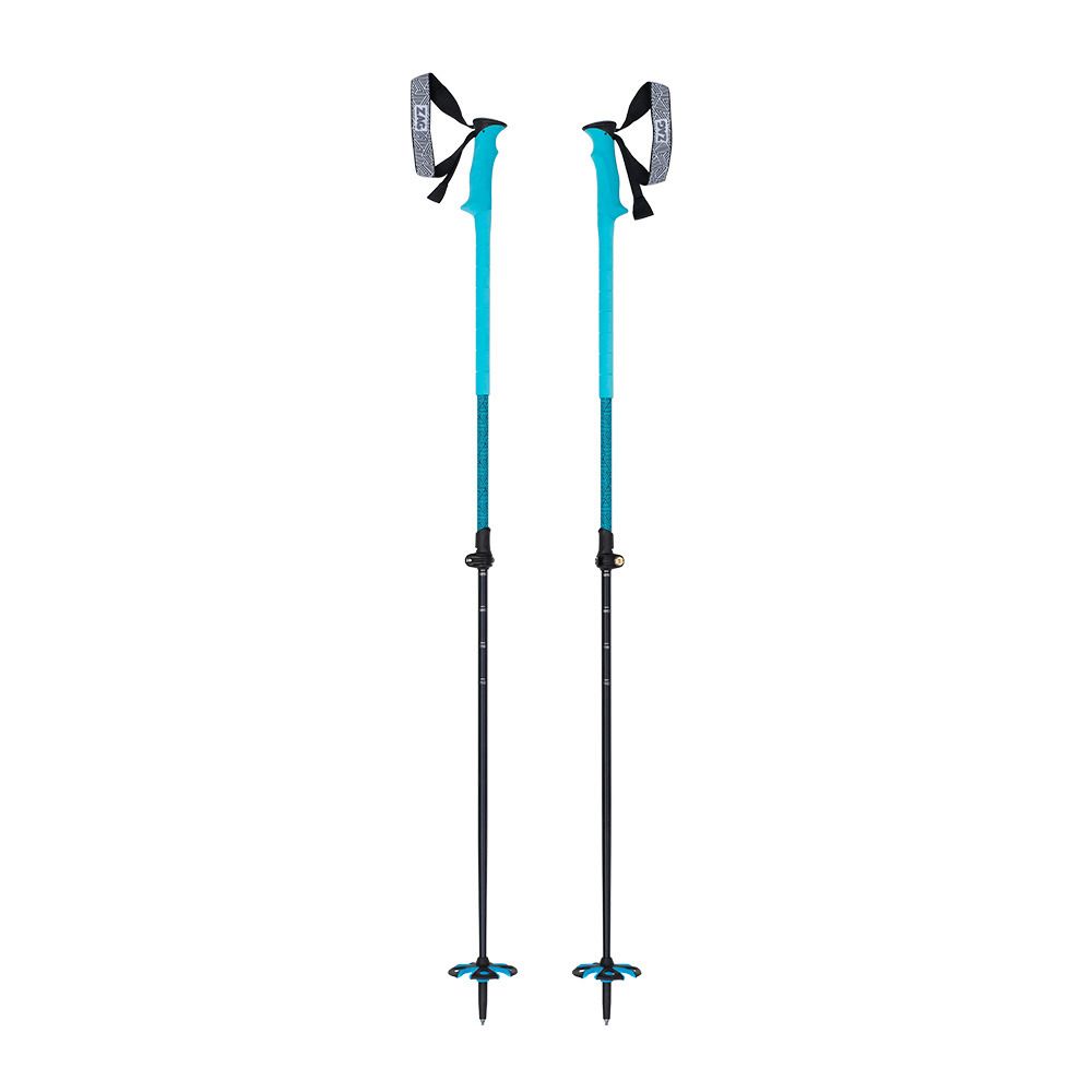 Zag NORTH VARIO - Bâtons ski noir/bleu