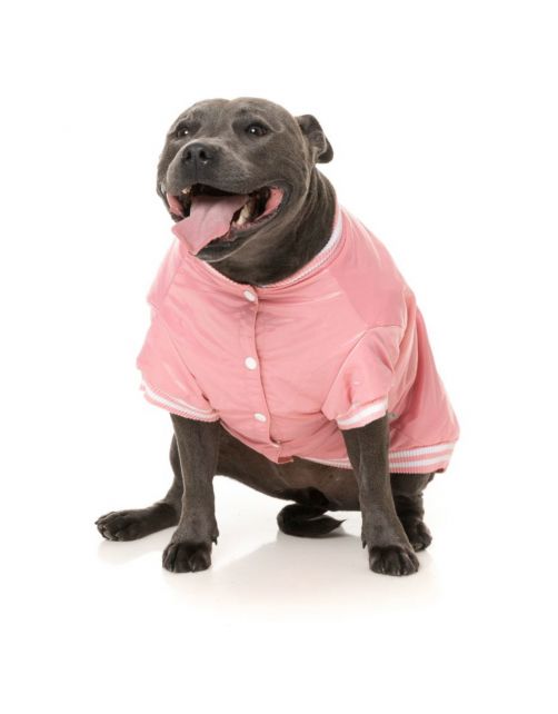 Fuzzyard Fastball Jacket Roze - Hondenkleding