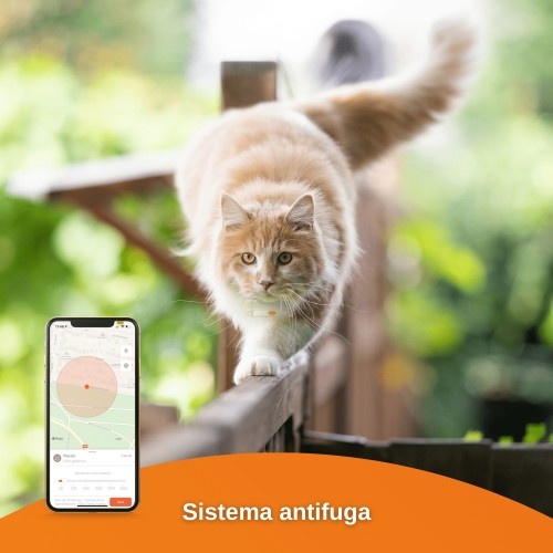 Rastreador GPS Weenect Cats² para gatos