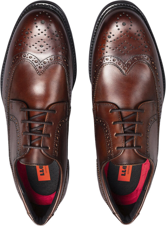 Lloyd TAMPICO Brown