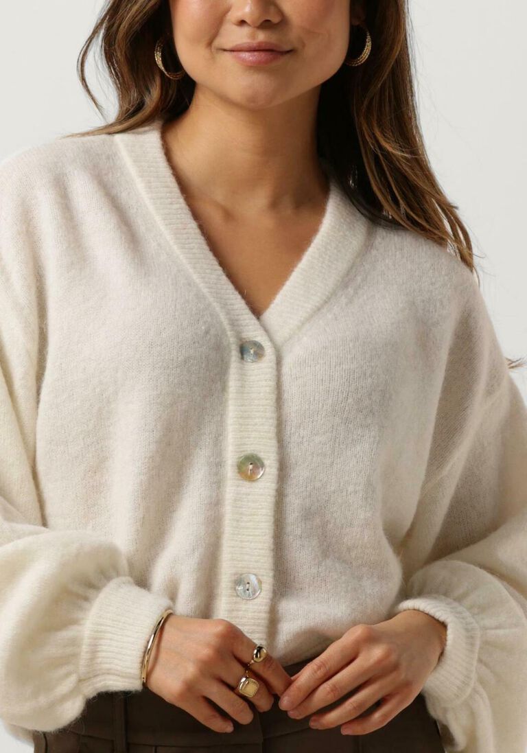 MSCH COPENHAGEN ecru msch copenhagen trui mschpetrinelle hope cardigan
