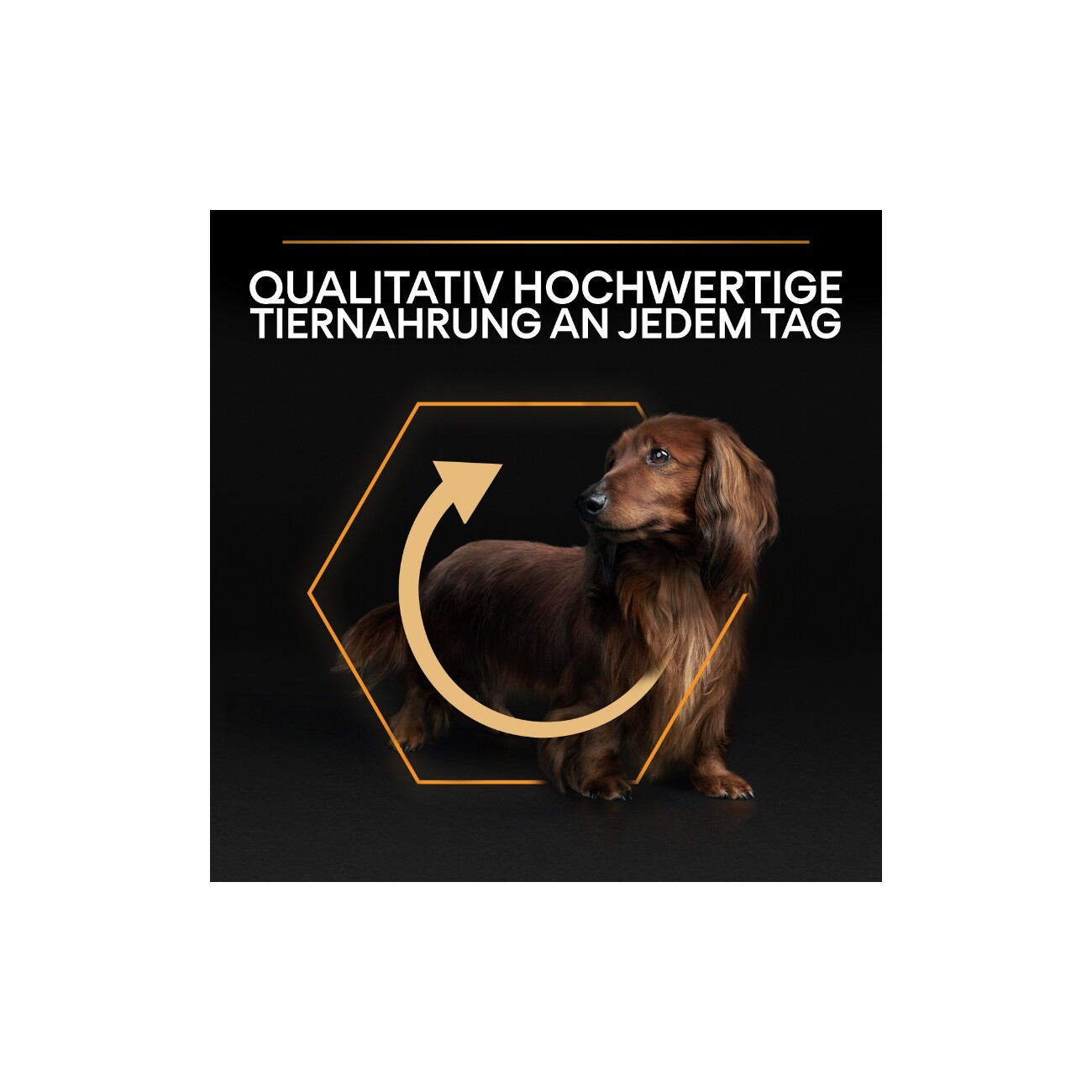 PRO PLAN Adult Small & Mini Huhn 3kg