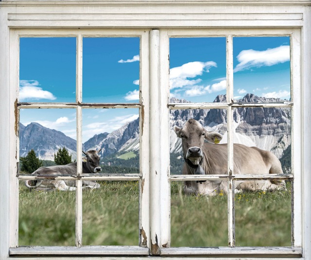 queence Wandsticker »Kühe auf der Alm« Wandsticker, Wandbild, selbstklebend, 3D, Fenster