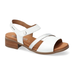 nikolia  SILK 7830/charm 9568  WHITE