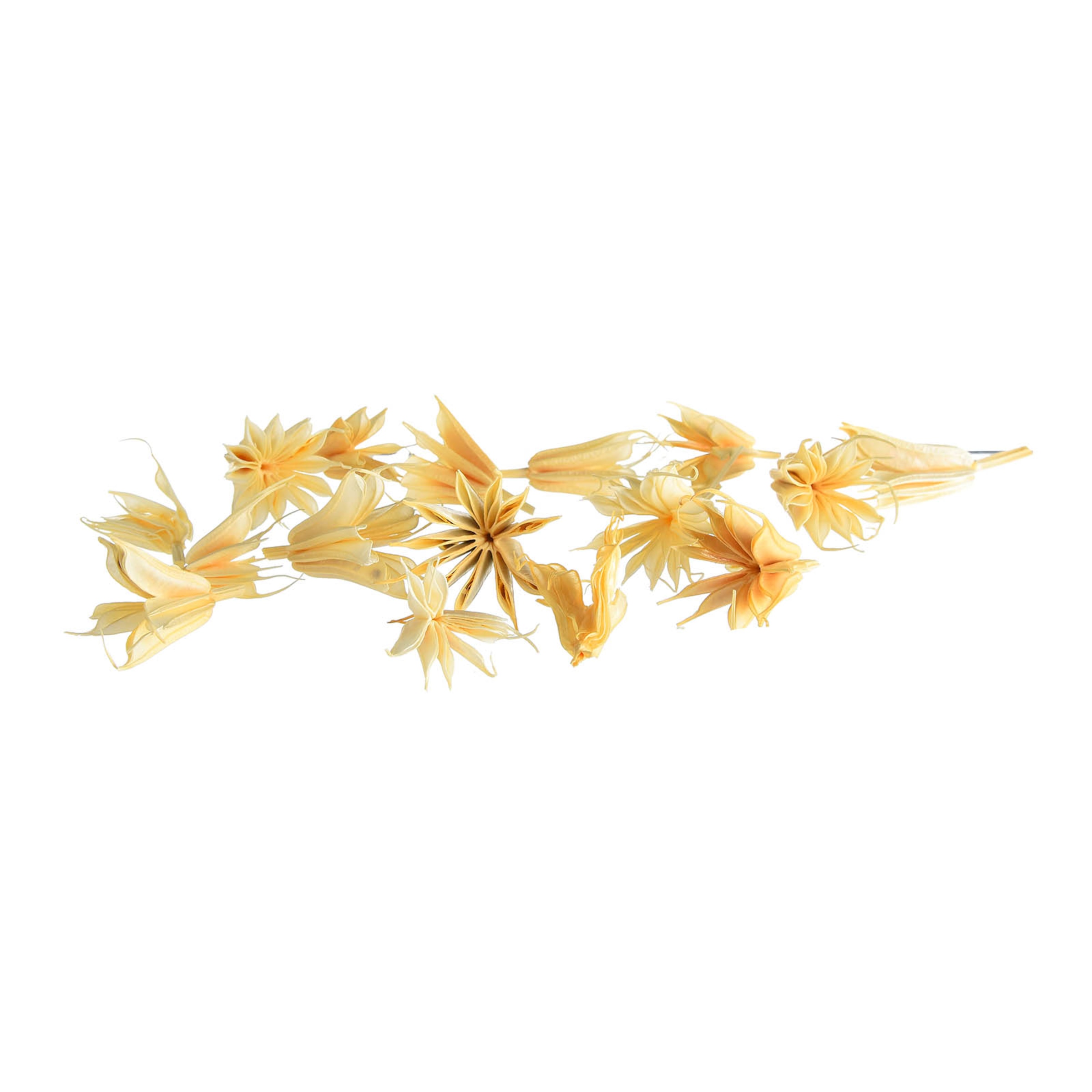 natur, 10 g