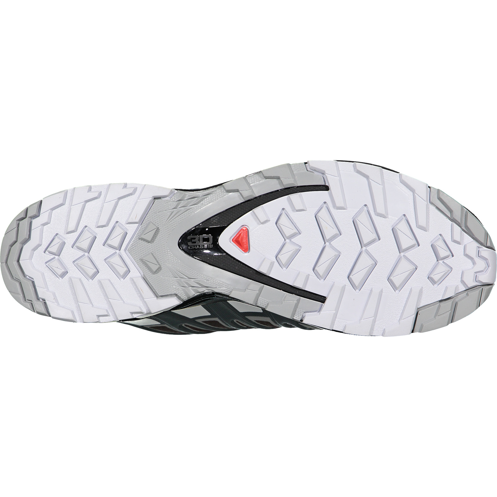 Salomon Herren-Trailrunningschuh XA Pro 3D v8 GTX grau, 44
