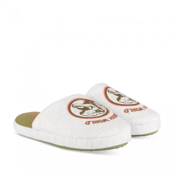 Chaussons GRIS JURASSIC WORLD