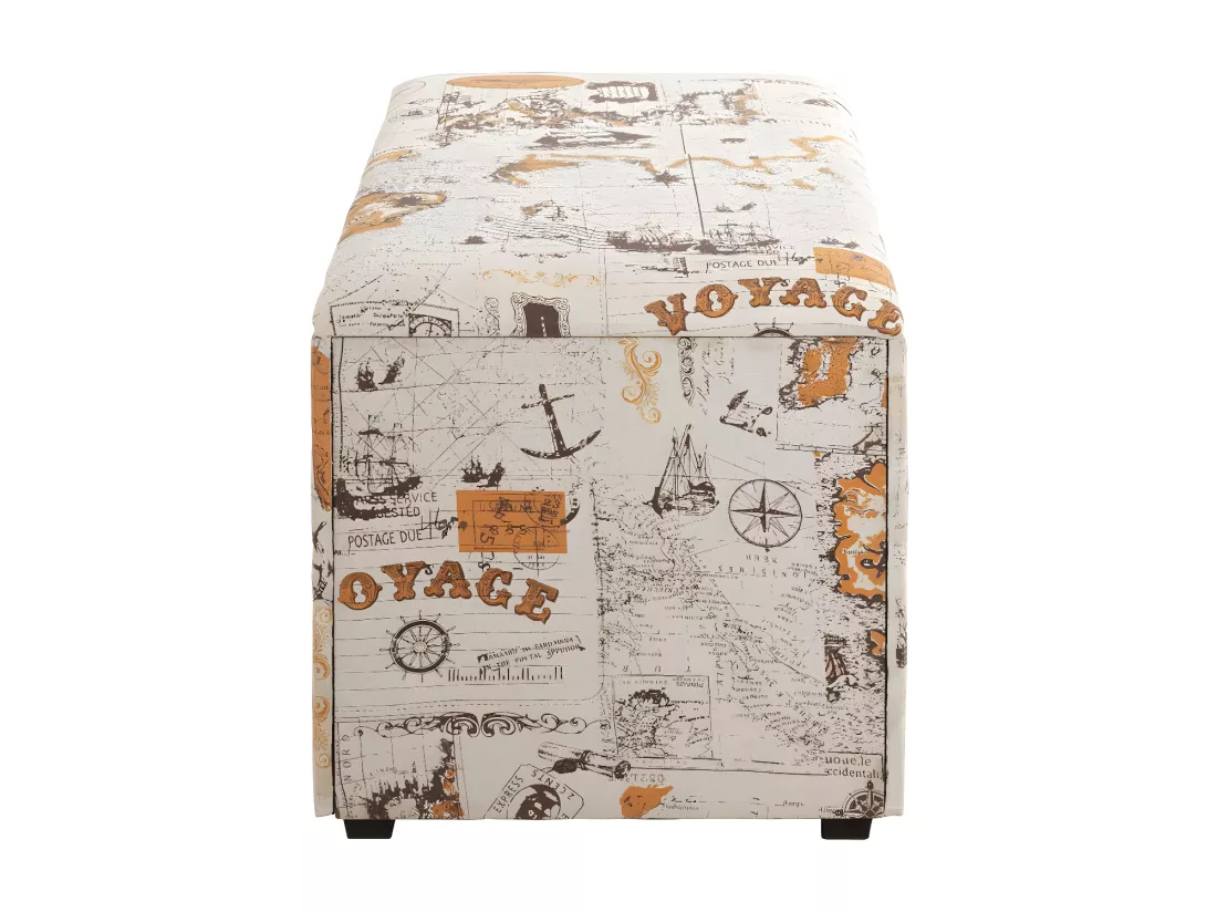 Coffre de Rangement Vintage 