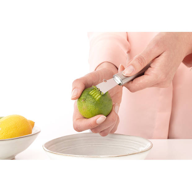Brabantia Profile citrusrasp RVS