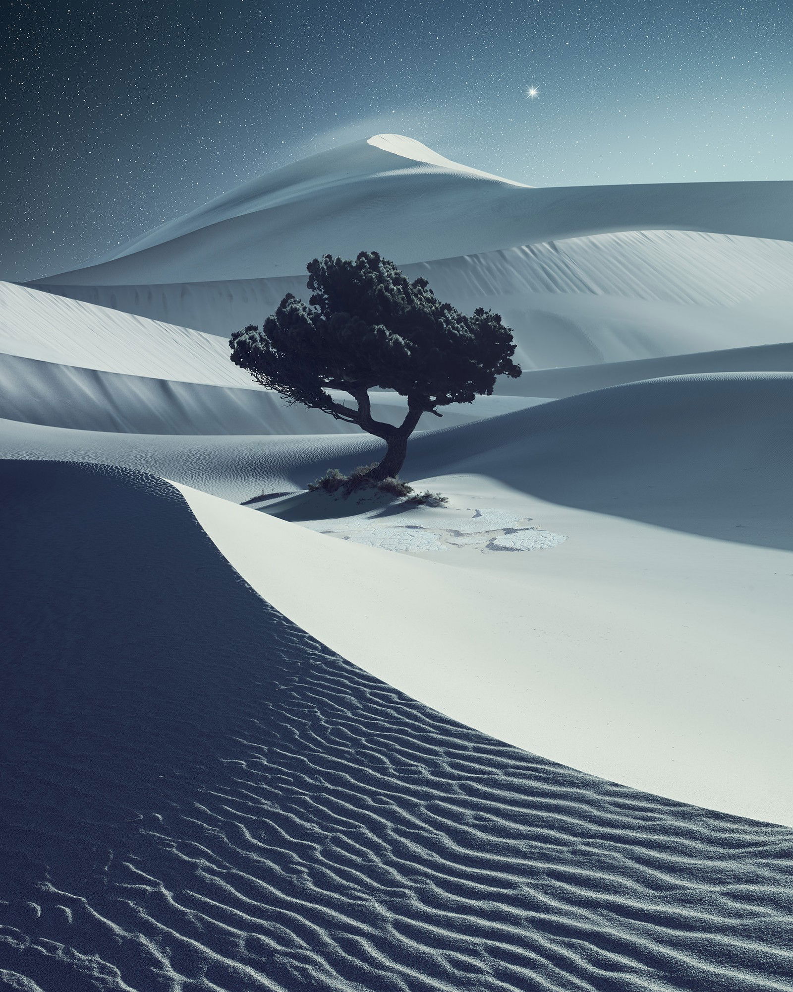 Desertnight by Benjamin Everett - Limited Edition. Edition of: 150. Signed.