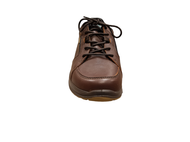8629 Brown