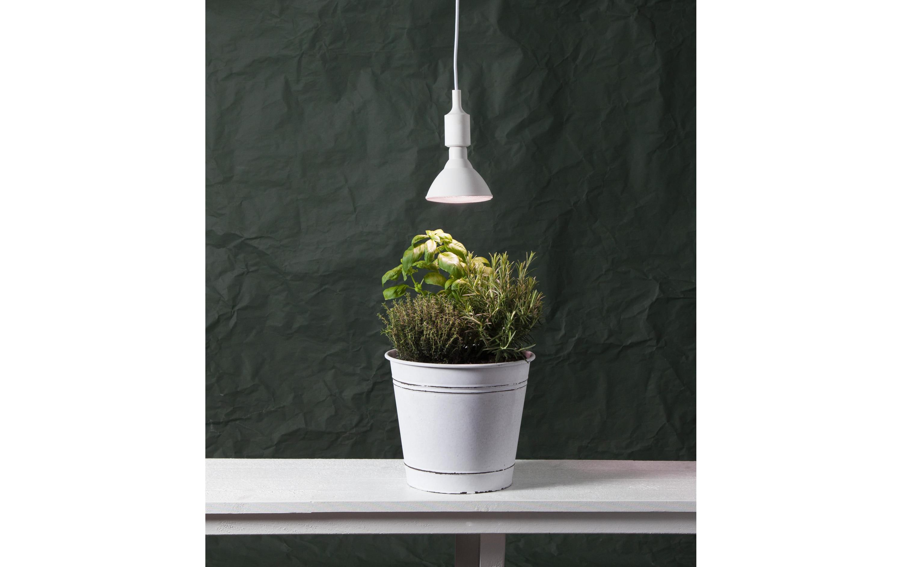 Leuchtmittel Plant Light 570cd 16 W E27Fördert das schnelle Wachstum und Blühen der Pflanze