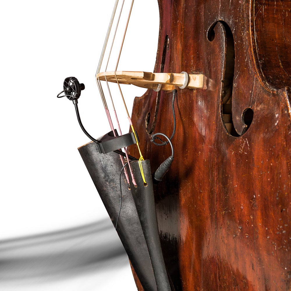 Prodipe BL21 Lanen microfoon voor contrabas