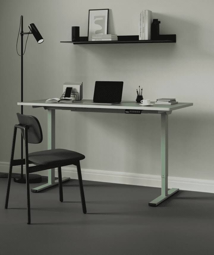 FlexiSpot Elektrisch Höhenverstellbarer Schreibtisch E1 Pro, Mintgrün