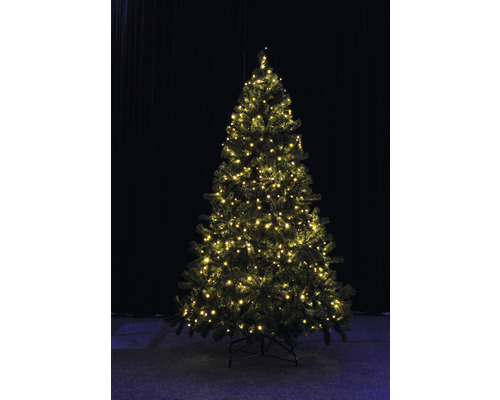 Lafiora lichtsnoer 11,85 m + 10 m aansluitsnoer 80 LED's warm witte lichtkleur incl. timer en dimmer