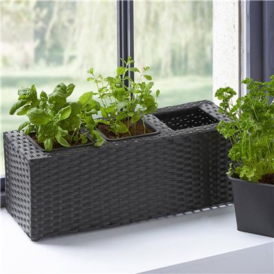 Jardinière pour herbes aromatiques