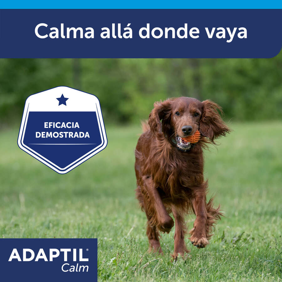 Coleira calmante Adaptil para cães