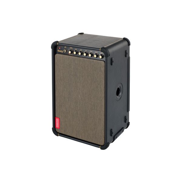 Positive Grid Spark Live B-Stock