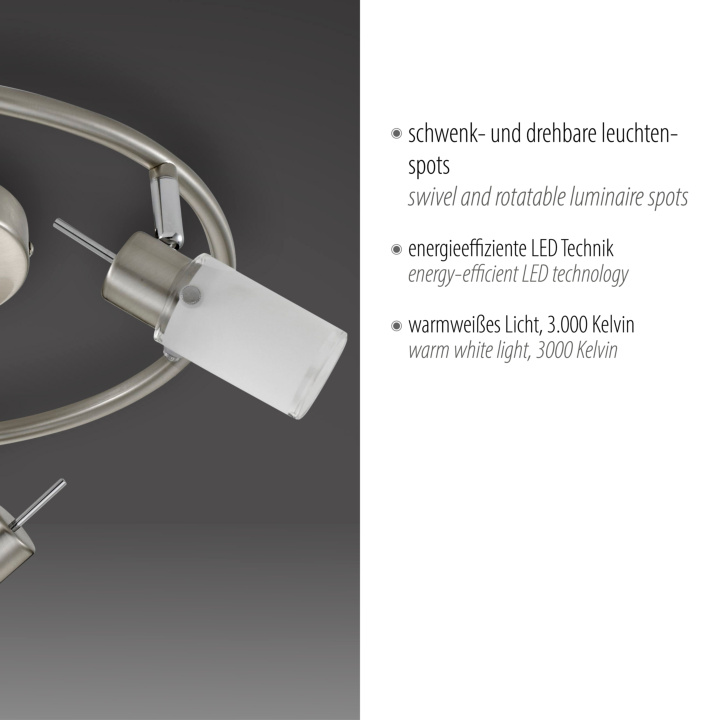 Deckenleuchte MAX LED
