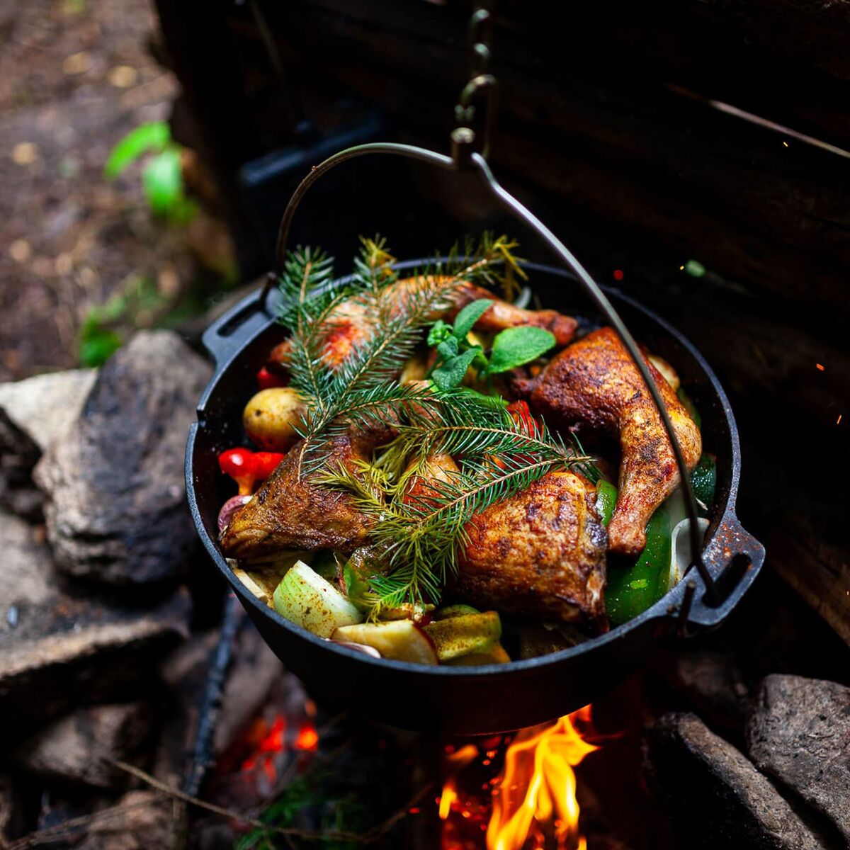 Dutch Oven FT6, uten ben