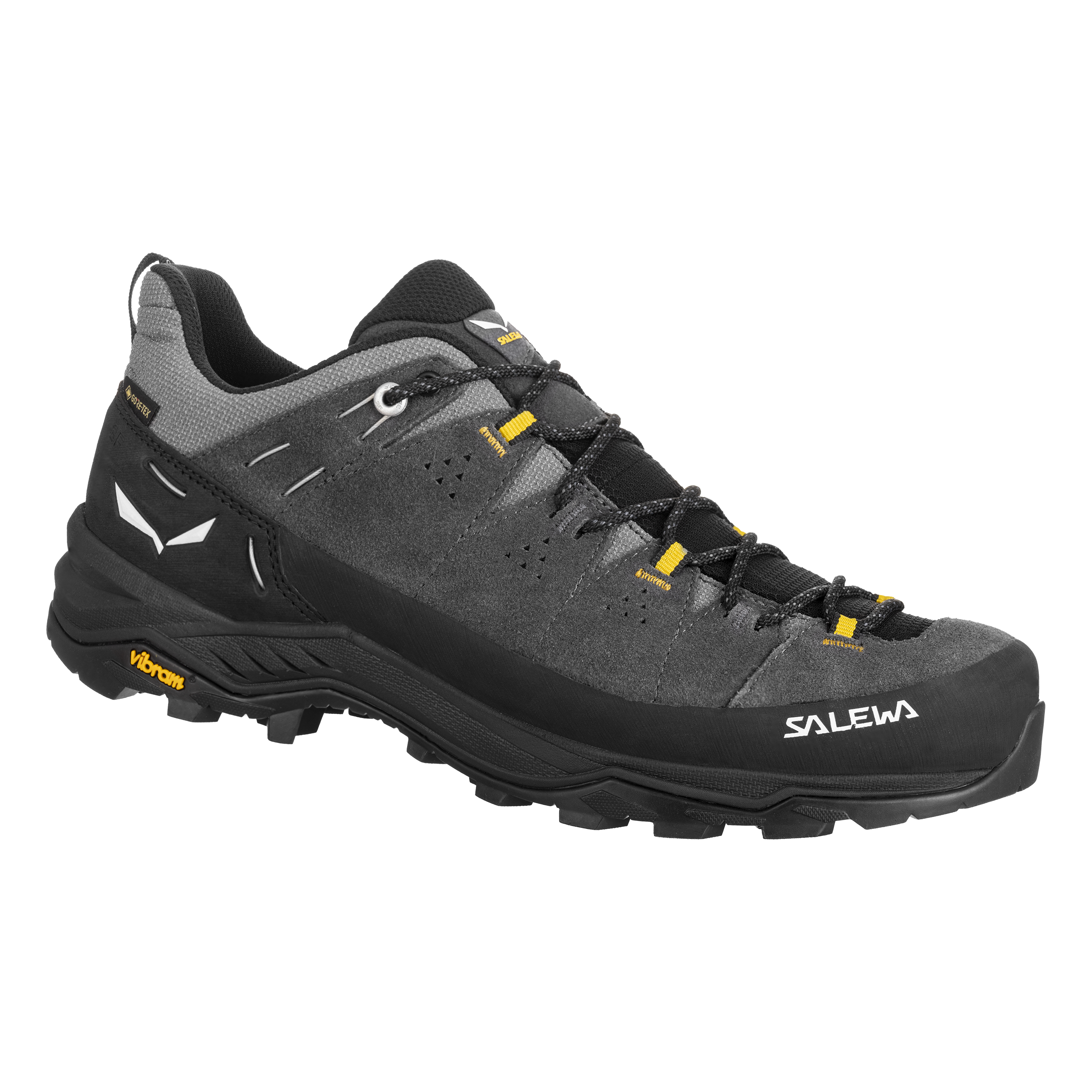 Alp Trainer 2 Gore-Tex® Schuh Herren