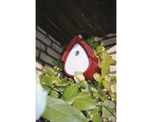 SCHWEGLER nestkast voor mezen, 23 x 19 x 27 cm, rood