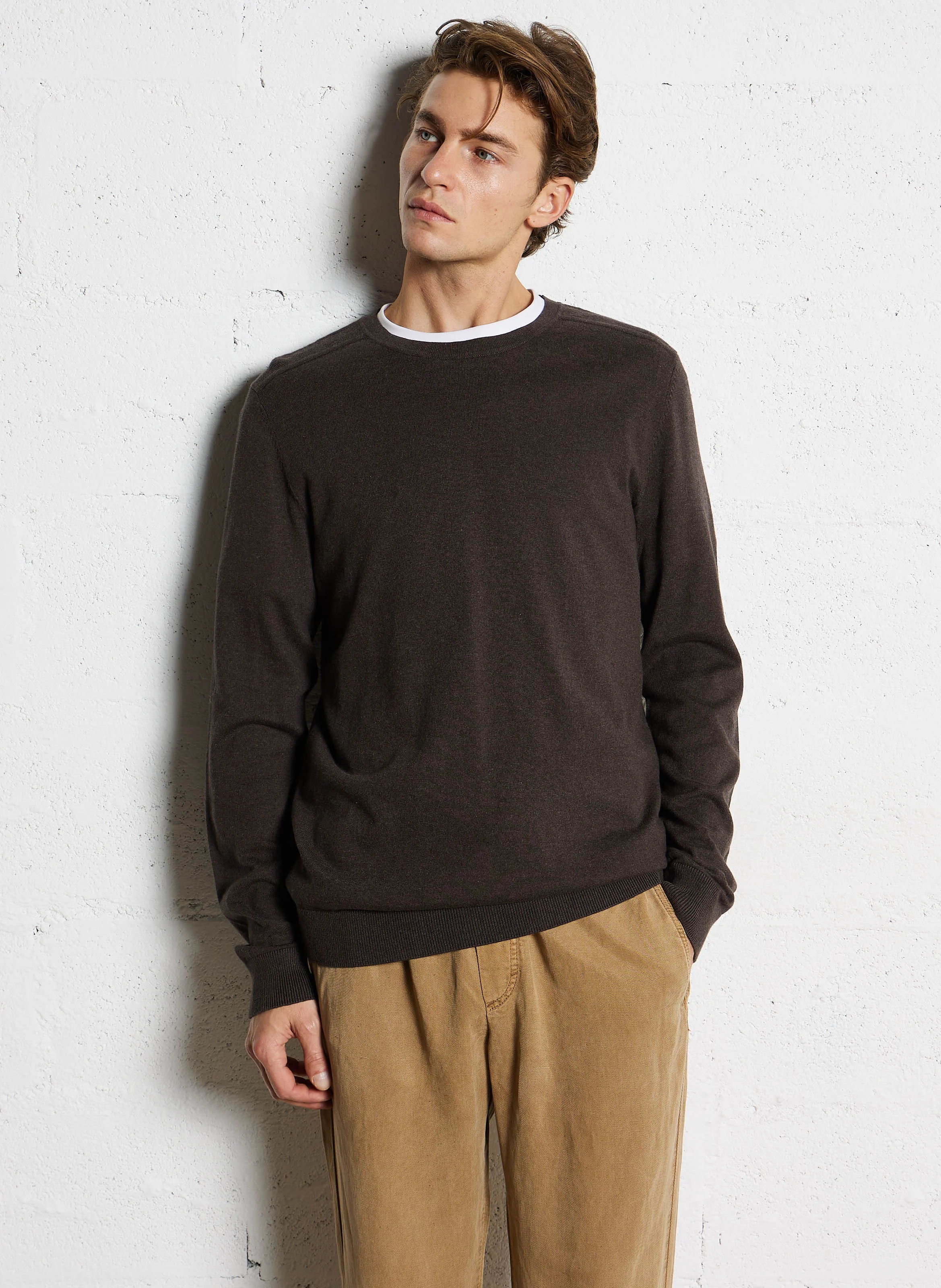 Pull col rond regular-fit en coton | Marron