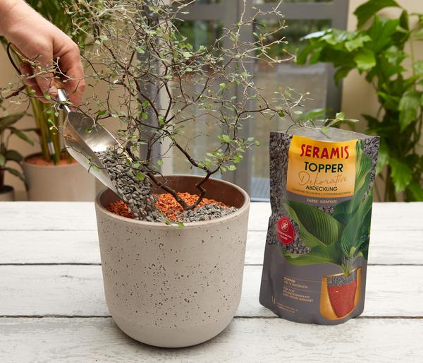 Seramis Topper-Granulat Graphite, 1 l