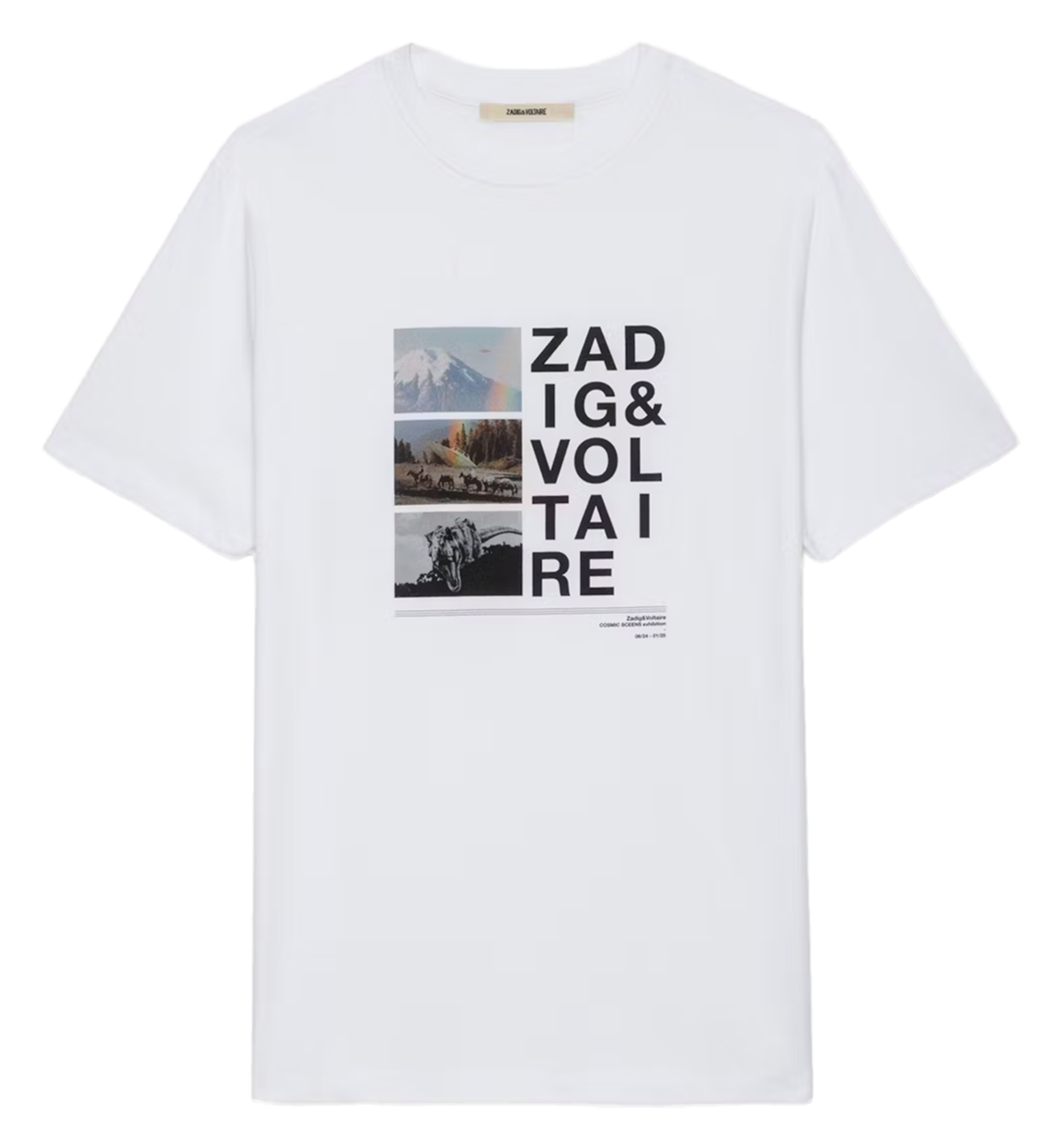TED - Tee-shirt droit col rond en coton bio sérigraphié | Blanc