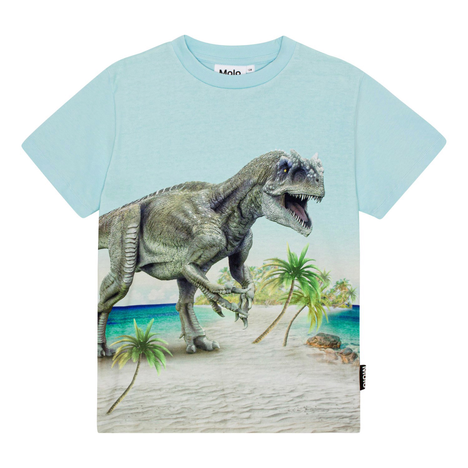 Roxo - Beach Dino