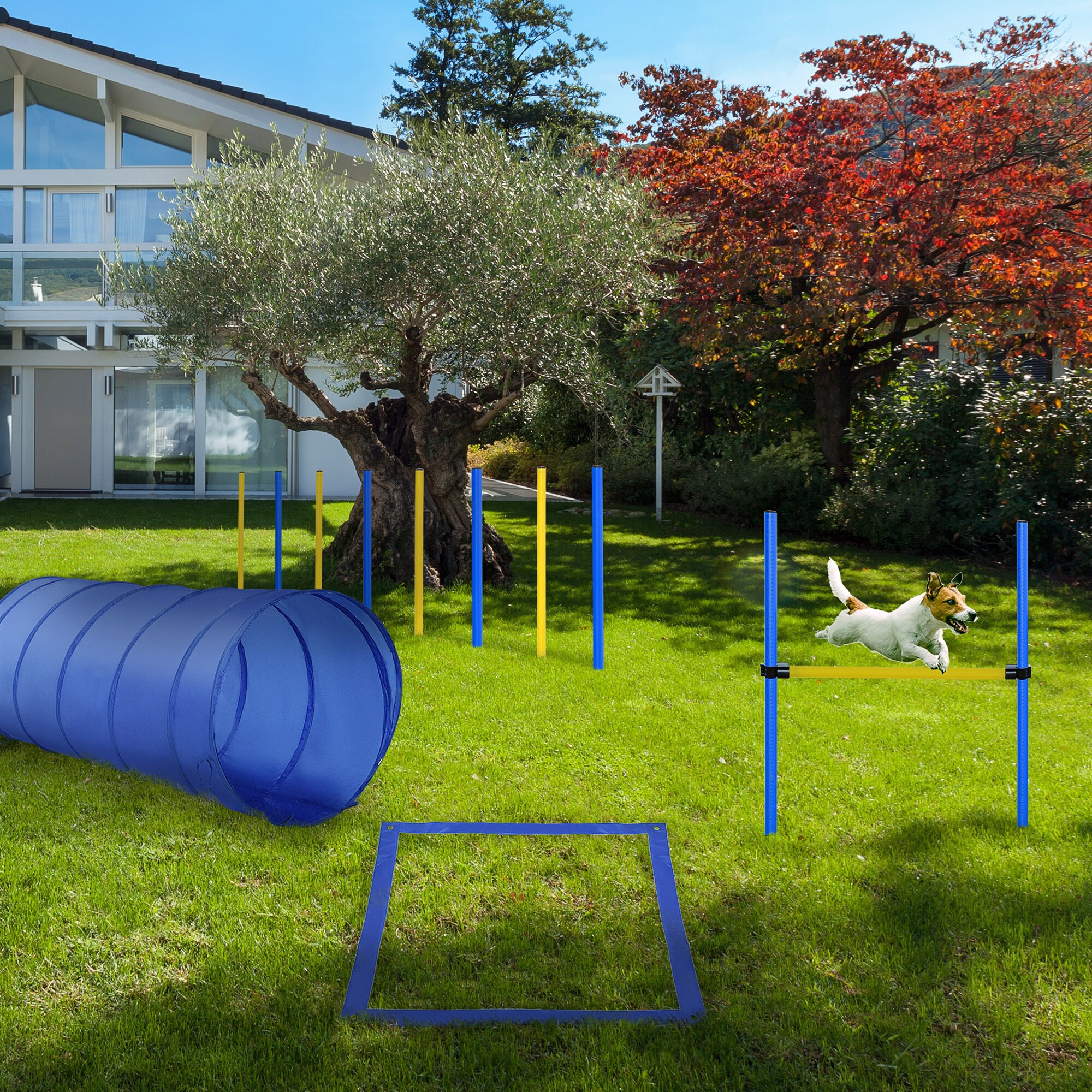 PawHut Hundesport blau, gelb