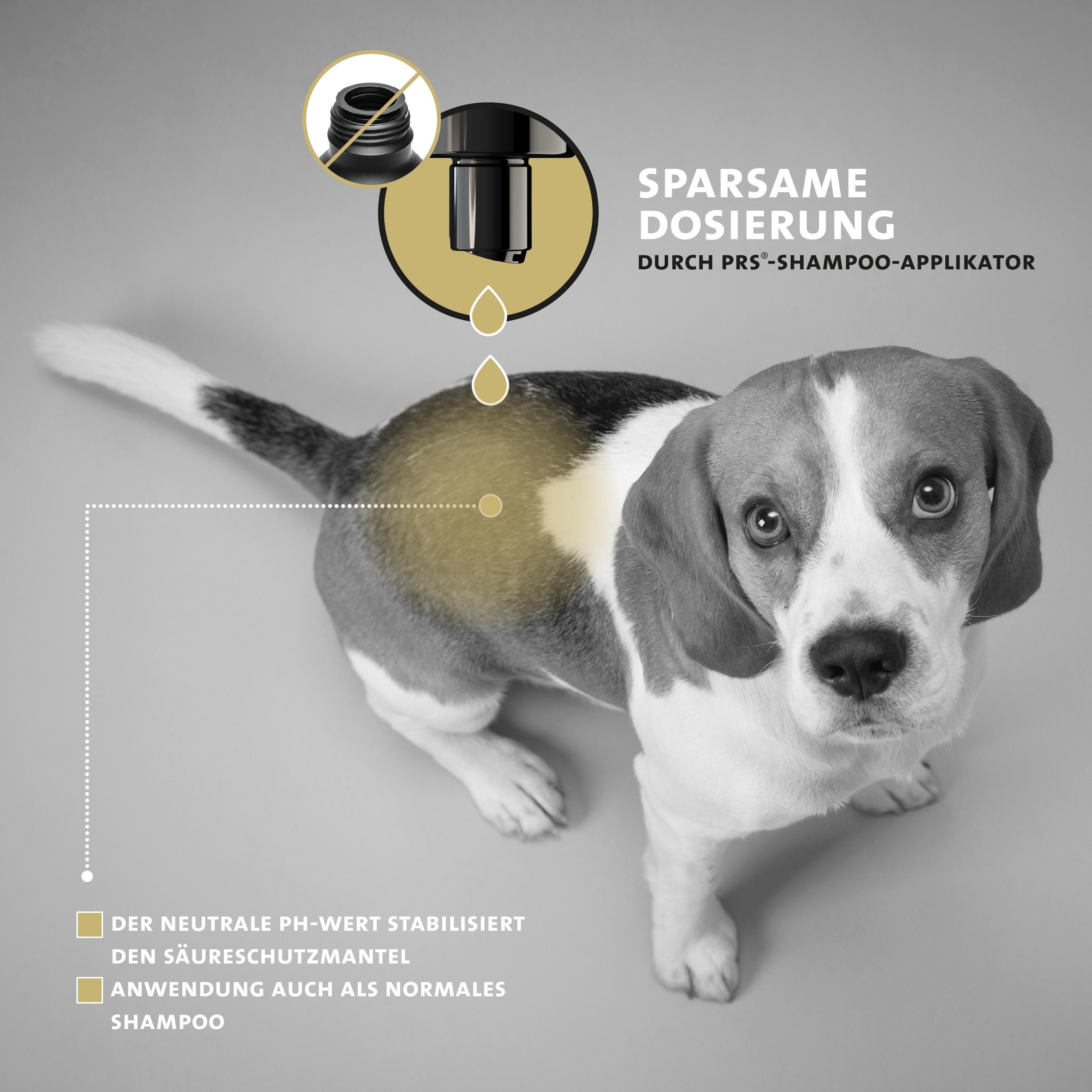 Peticare Anti-Parasiten Hunde-Shampoo gegen Milben Flöhe Pilz, lindert Juckreiz