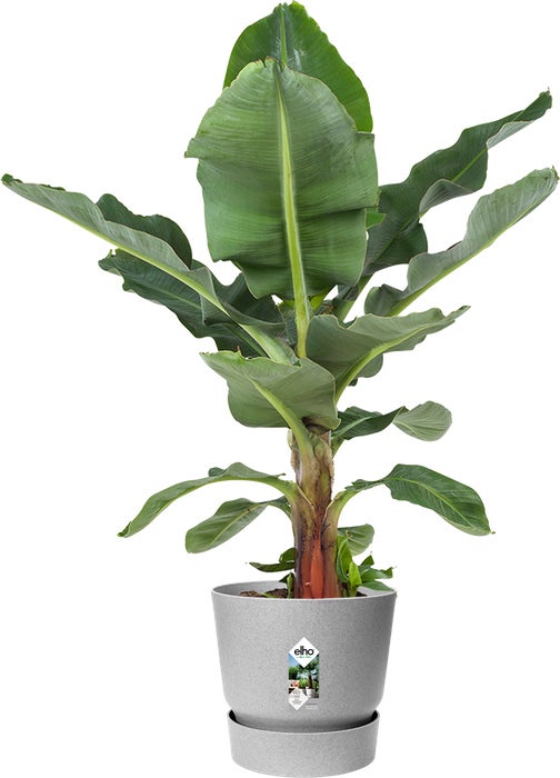 Elho bloempot Greenville grijs D 39 H 36,8 cm
