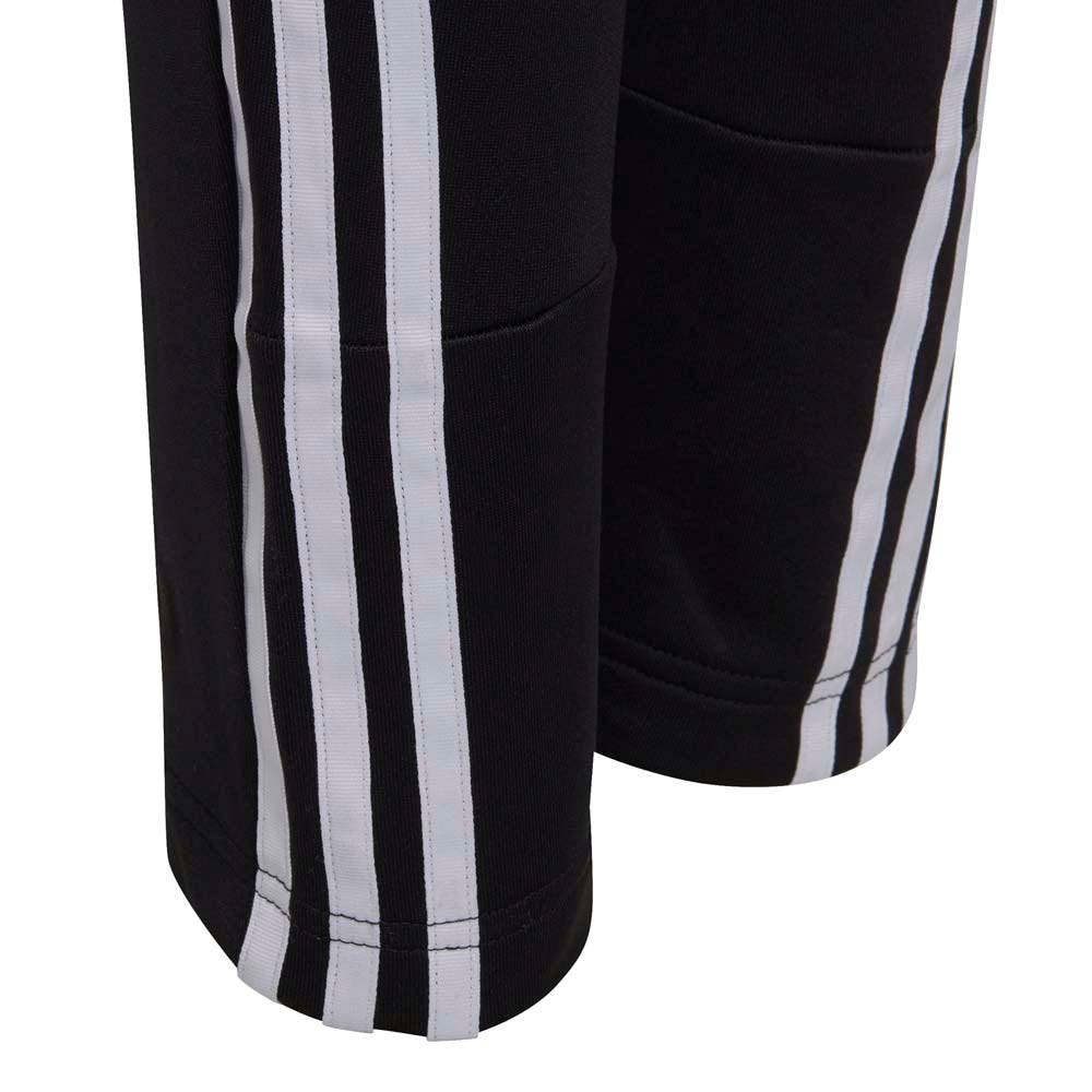 adidas  B AR 3S PANT