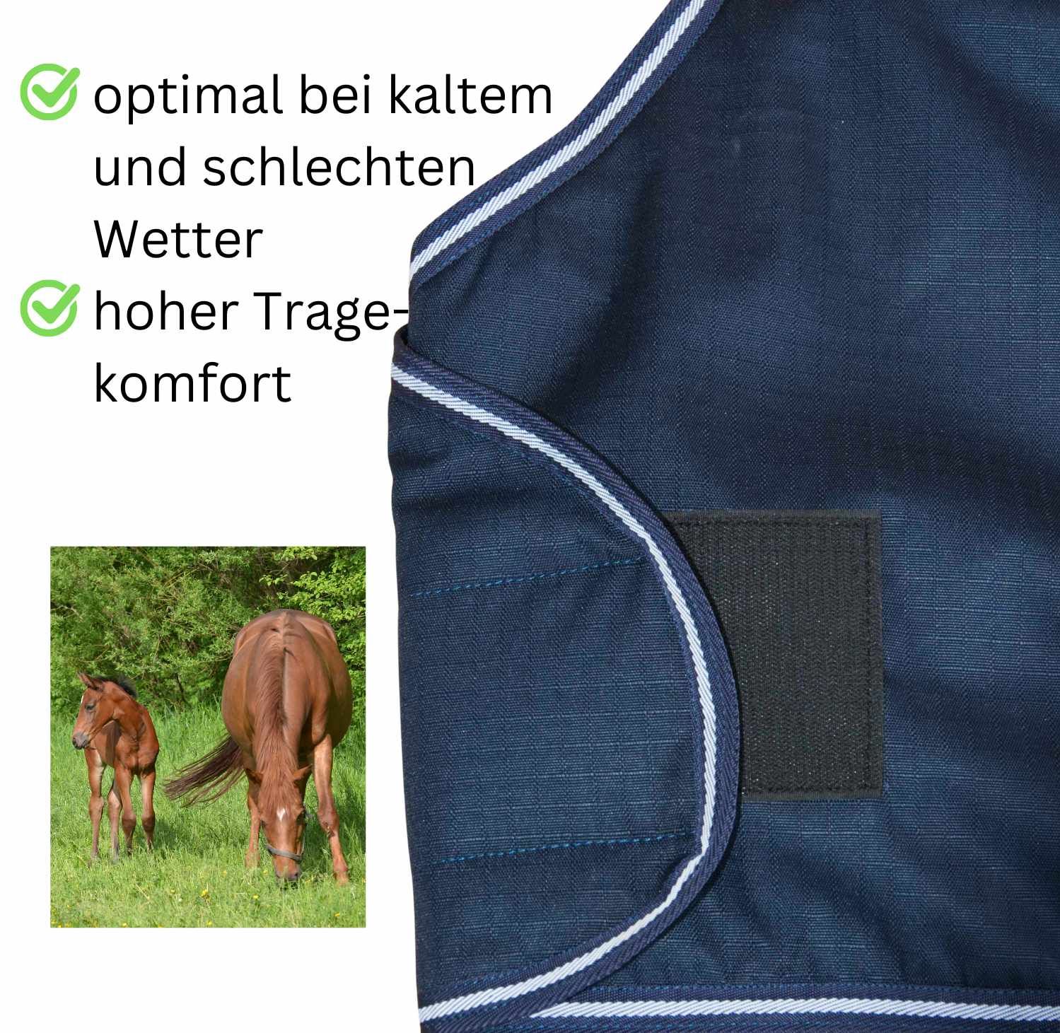 AMKA Fohlendecke