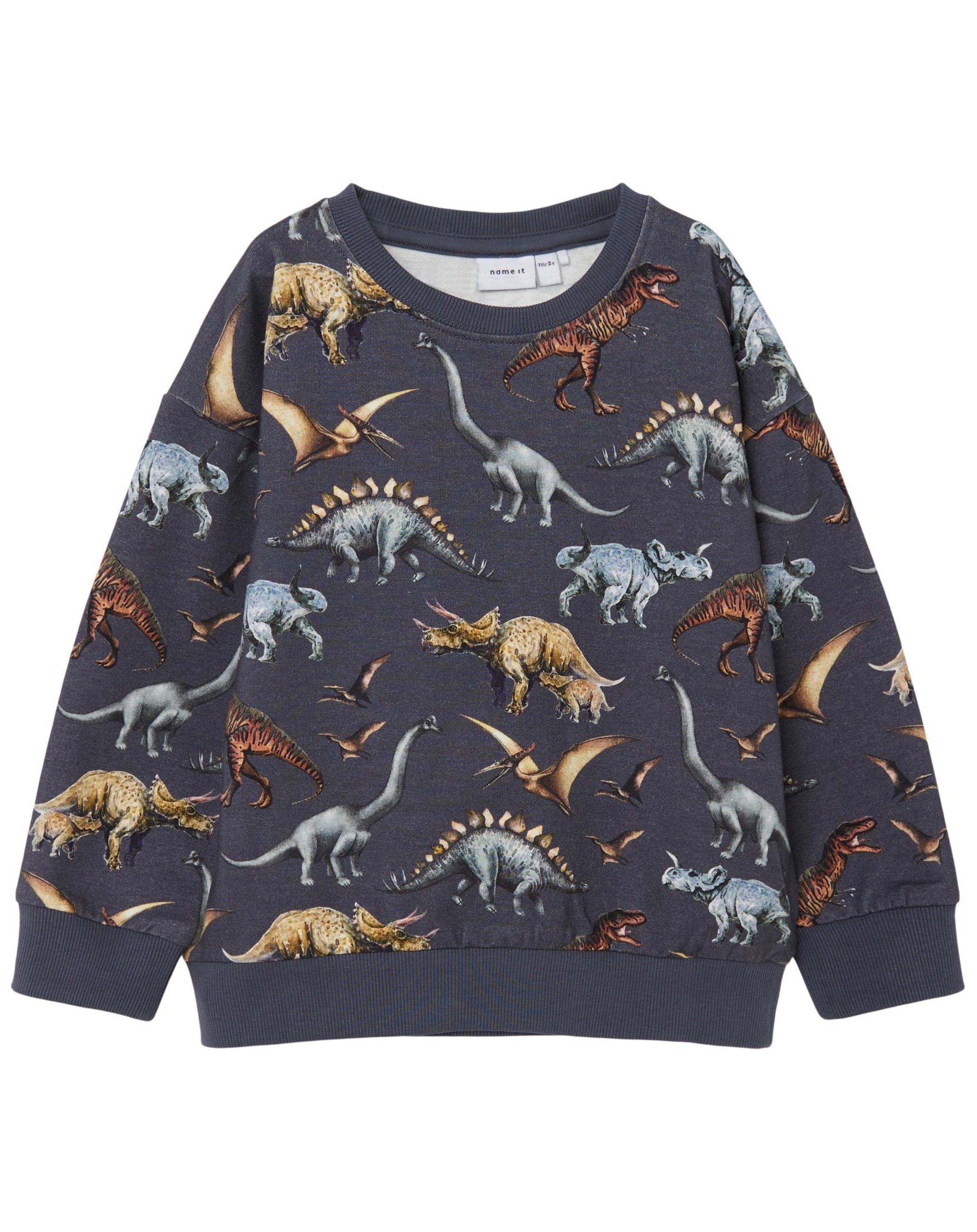 Sweatshirt NMMDJURS DINOS in wild wind