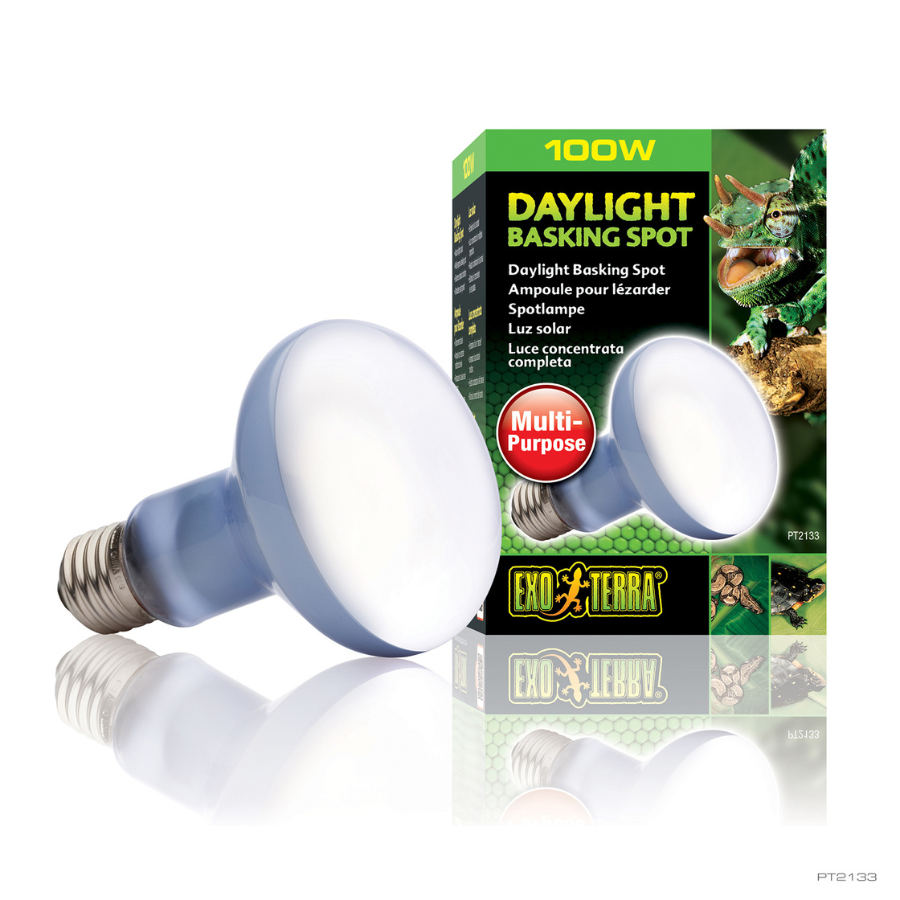 Lâmpada Exo Terra Daylight Basking Spot de 100W para Terrários