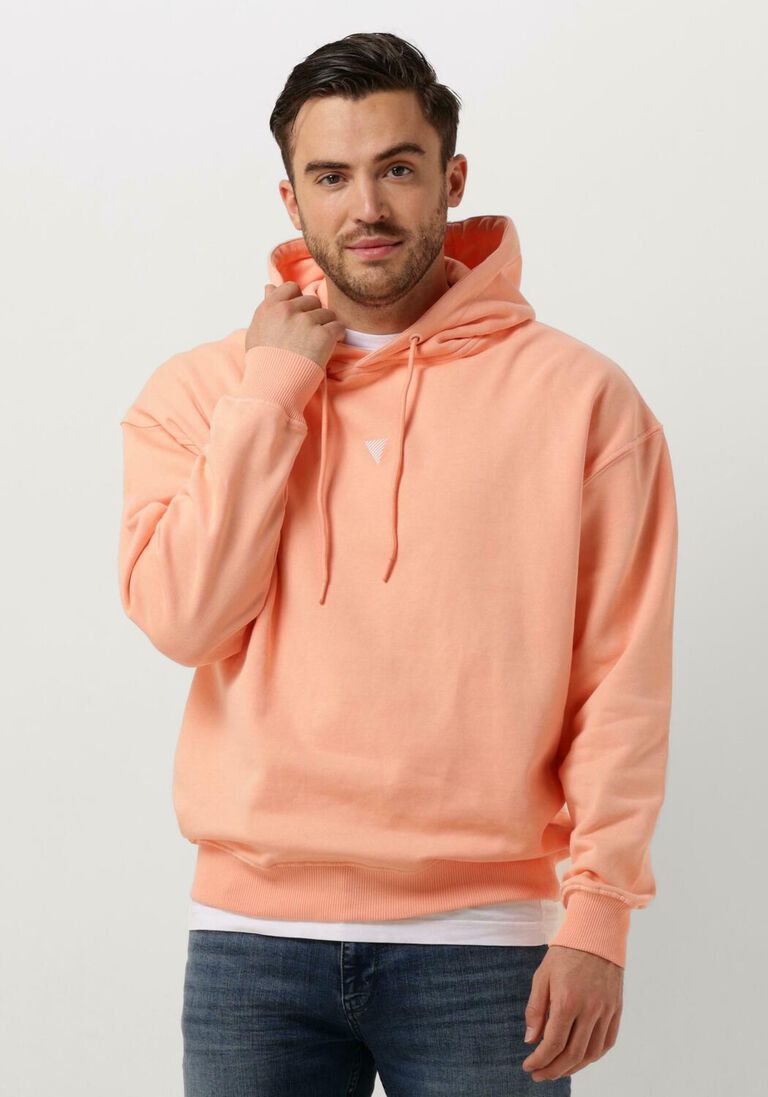 PURE PATH koraal pure path trui hoodie with back print and small frontprint